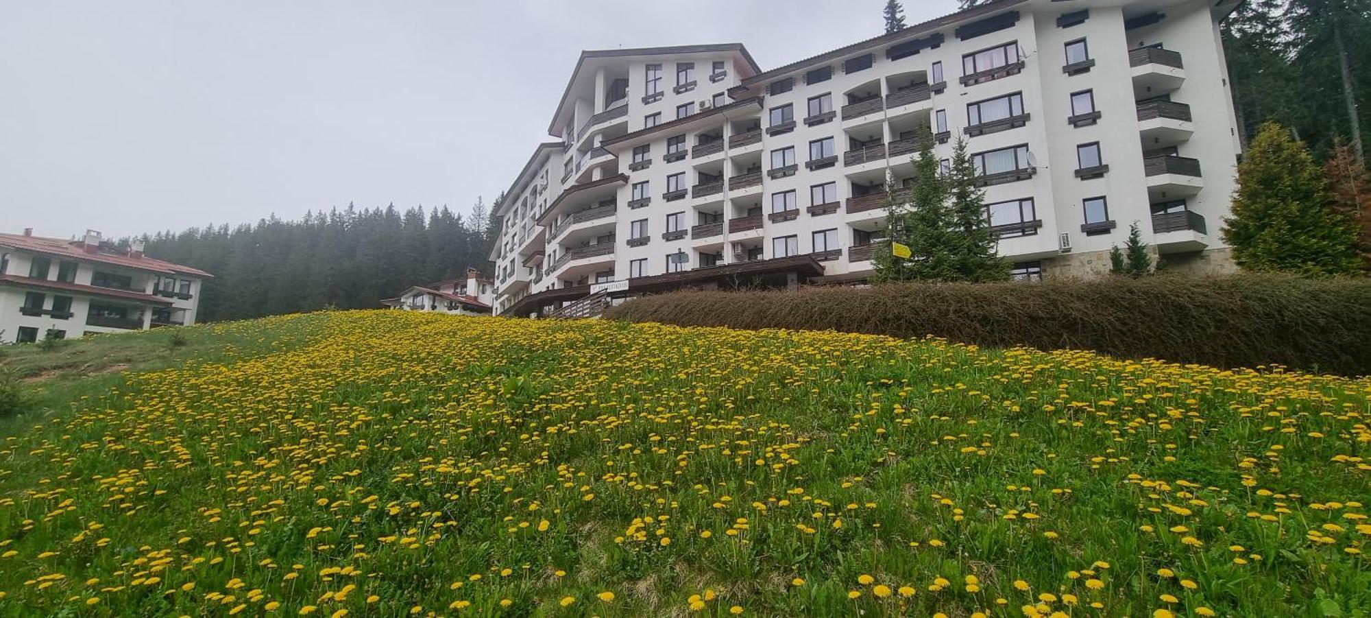 Elit Pamporovo Accommodation Εξωτερικό φωτογραφία